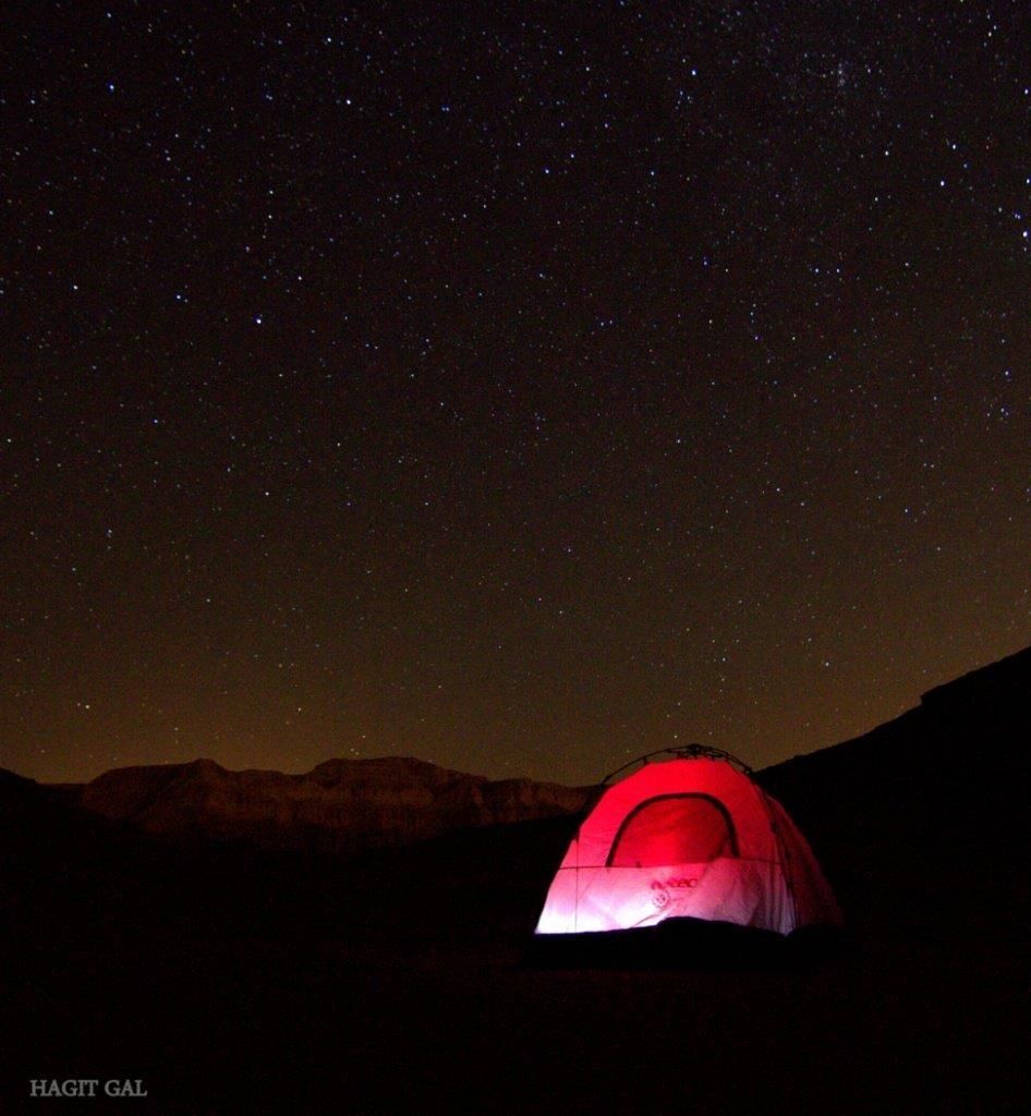 כוכבים בפארק תמנע. קרדיט חגית גל