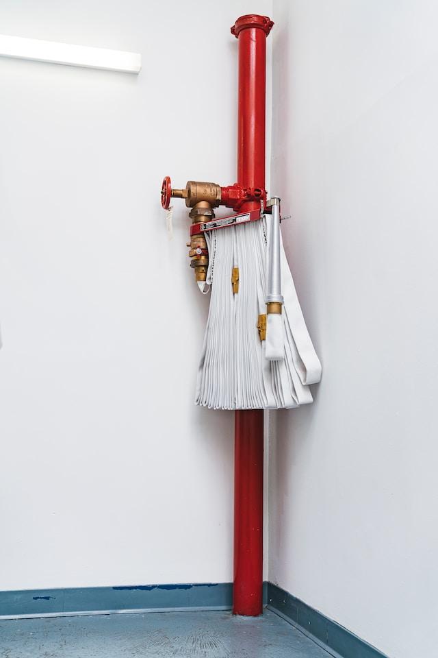 Photo by Nelson Ndongala on Unsplash