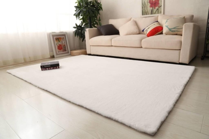 קרדיט : אשרם