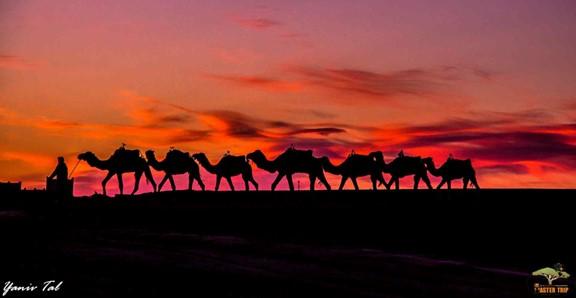 קרדיט : יניב טל – מאסטר טריפ