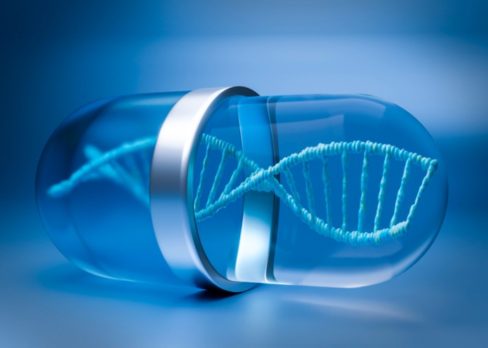 קרדיט תמונה FREEPIK