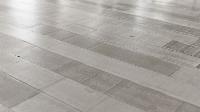 קרדיט תמונה FREEPIK