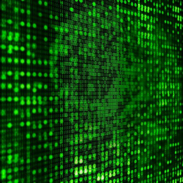 קרדיט תמונה FREEPIK