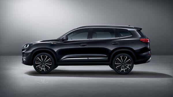 קרדיט צרי ישראל