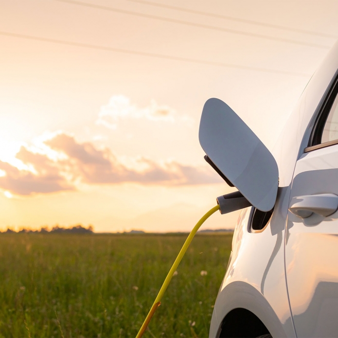 קרדיט תמונה Shutterstock