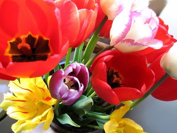 חנות פרחים ברמת גן