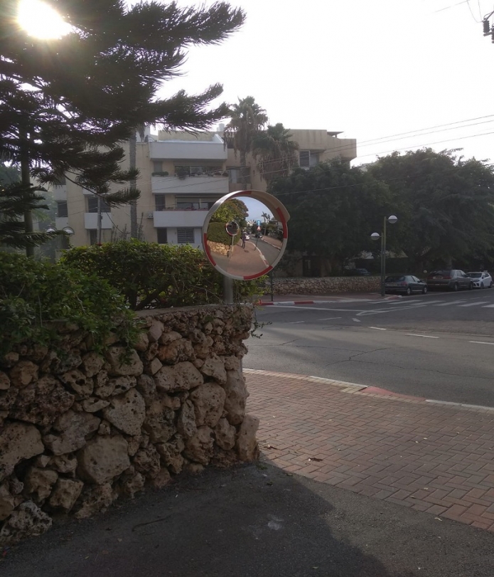 ארבל שטראוס