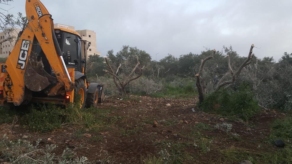 קרדיט צילום: רשות מקרקעי ישראל.