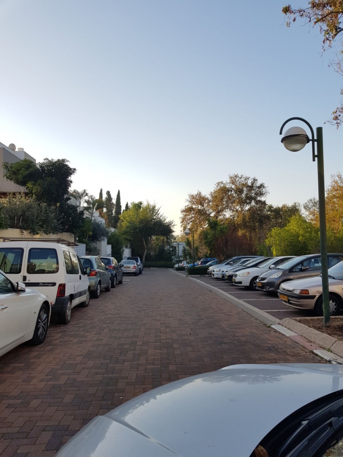 מצוקת חניה ברובע הדר (צילום:יח"צ)