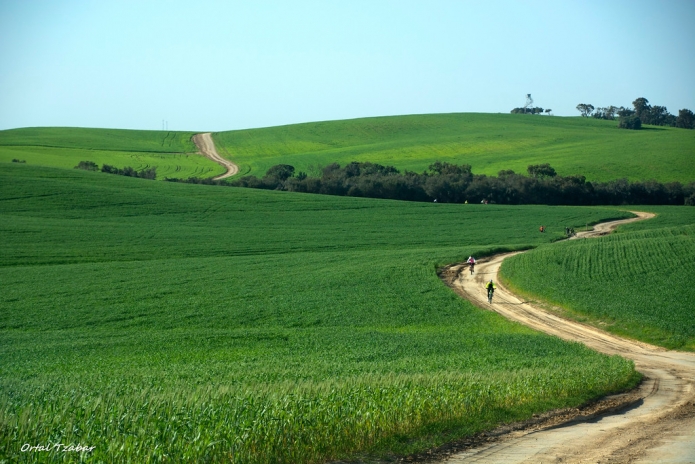 נחל שקמה (צילום: אורטל צבר)