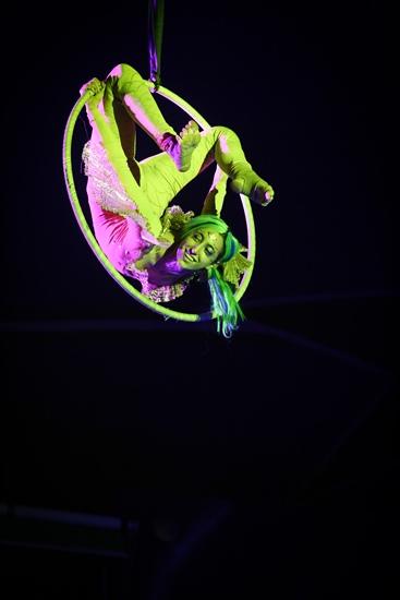 צילום: עמית פייס