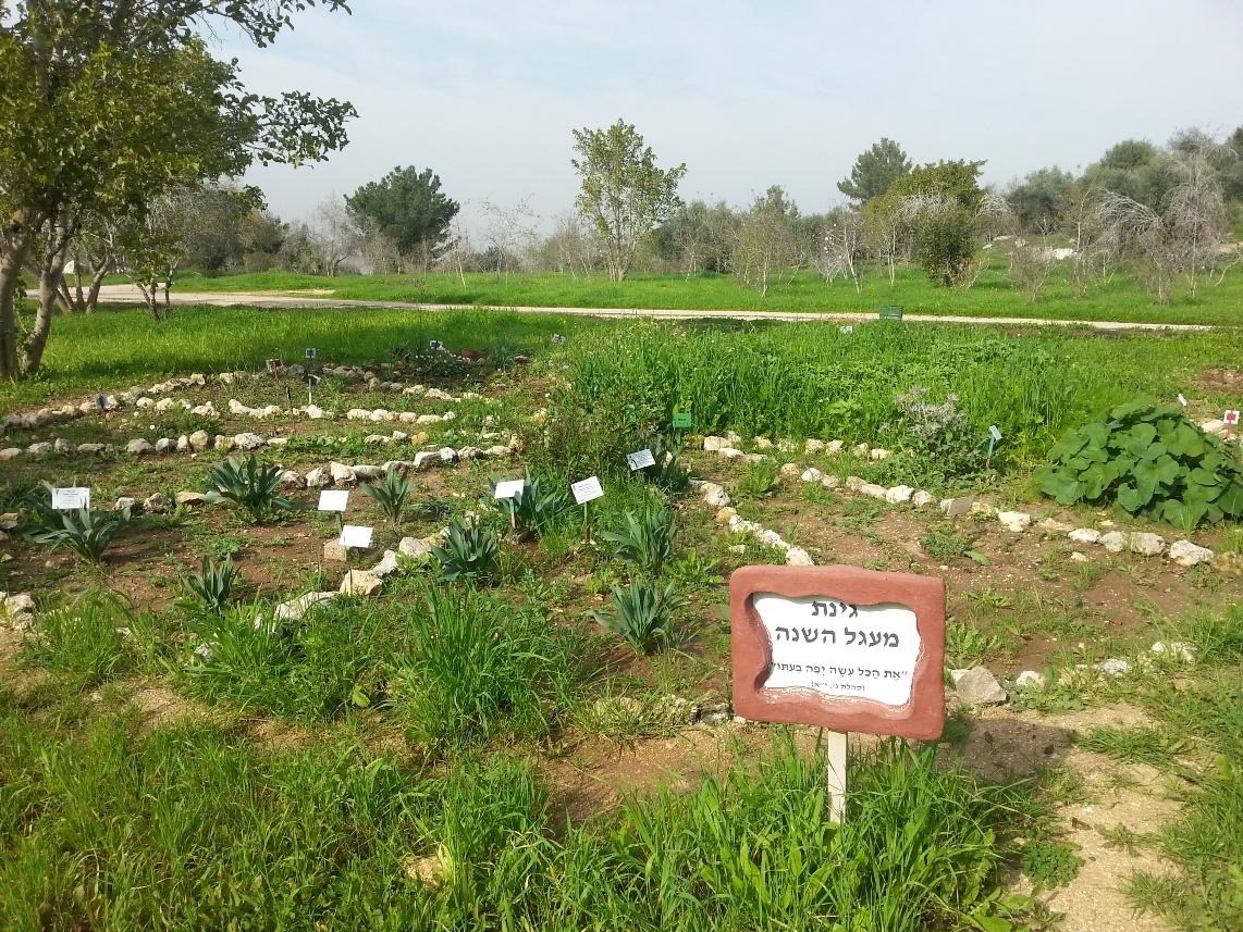 סיור צמחי מרפא בנאות קדומים