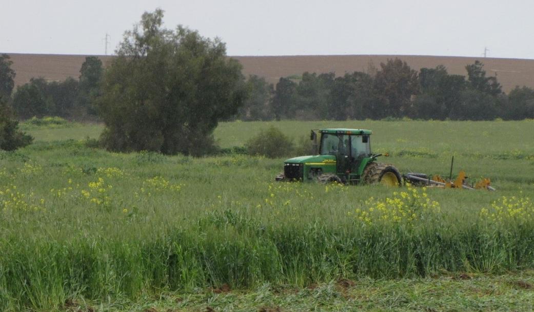 צילום אילוסטרציה: רשות מקרקעי ישראל