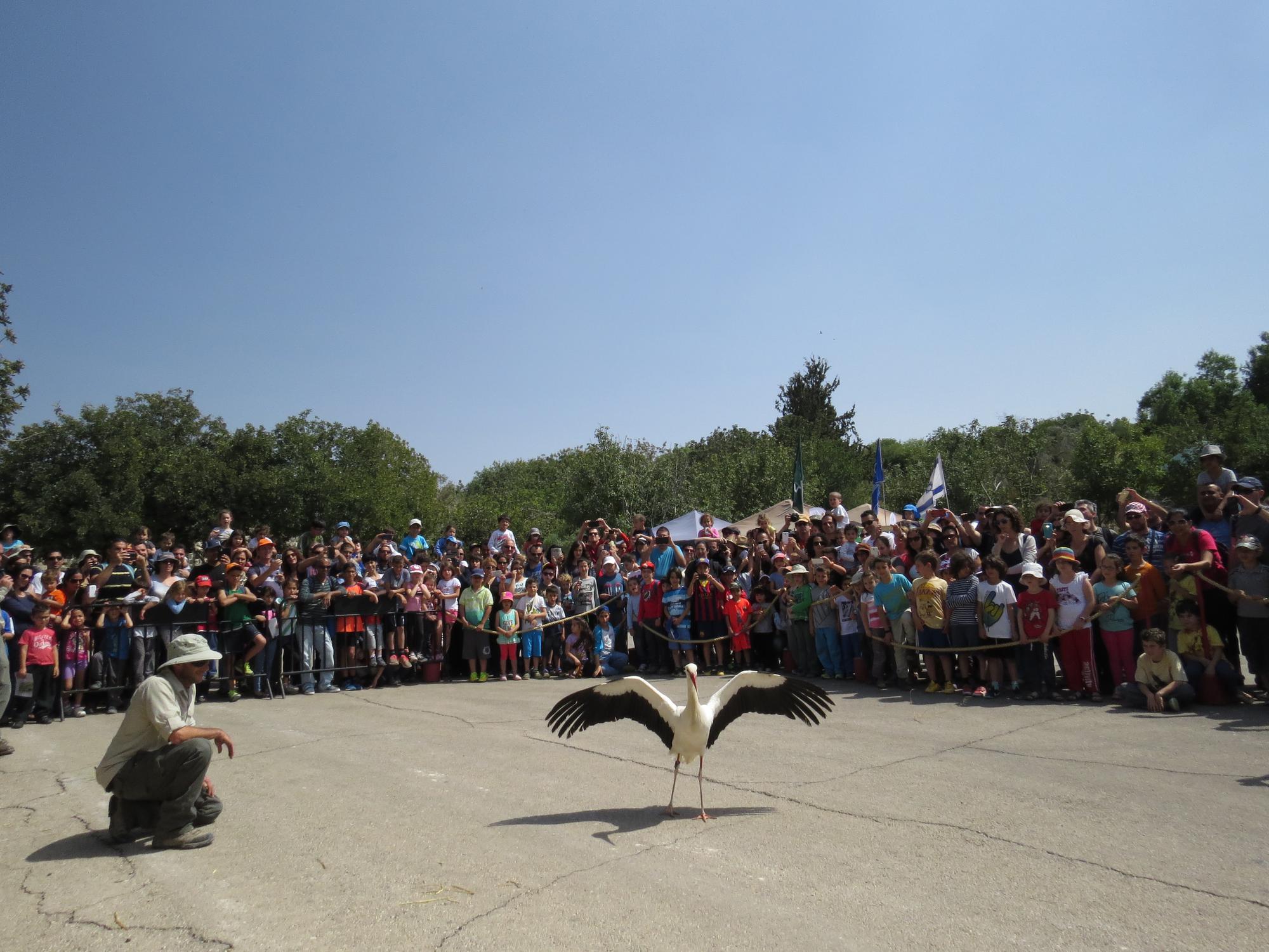 צילום: שרון טל, רשות הטבע והגנים