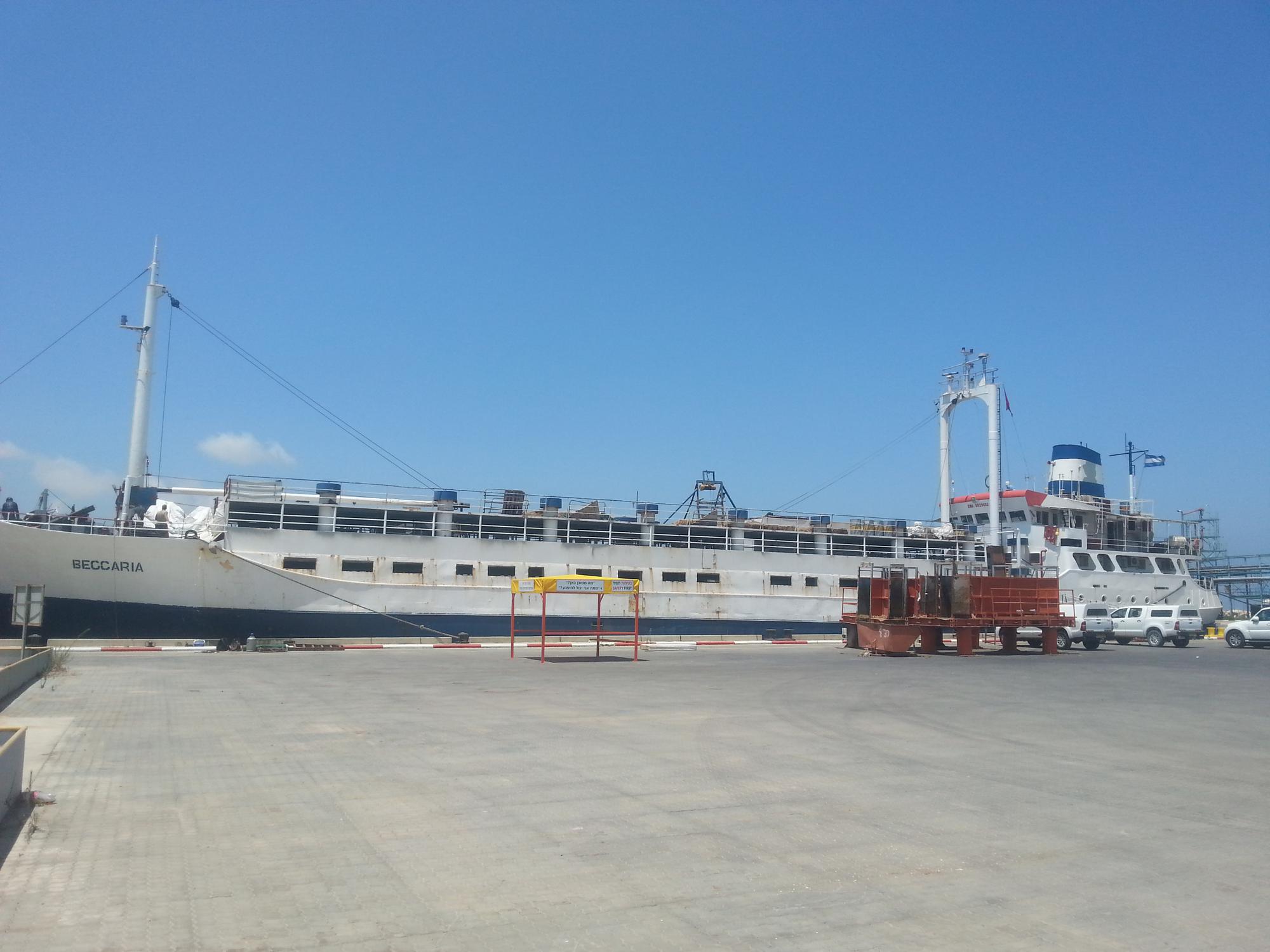 אוניית Beccaria עוגנת בחיפה. צילום: ניר לוינסקי, המשרד להגנת הסביבה