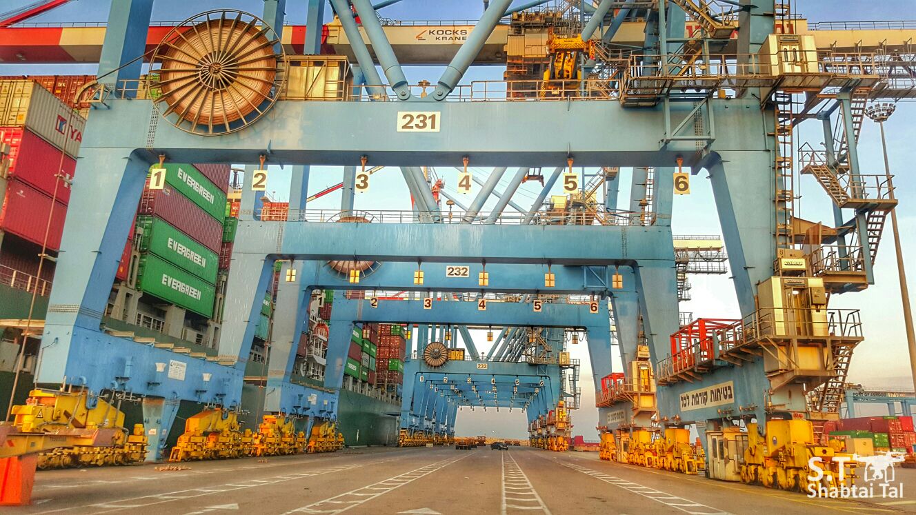 חברת נמל אשדוד צמיחה בפעילות העסקית (צילום: טל שבתאי)