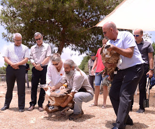 רעיית נשיא המדינה שחררה לטבע את הנשרים "נחמה ורובי" בטקס לציון 20 שנה ל"פורשים כנף", בחי-בר כרמל. צילום: שטיינר