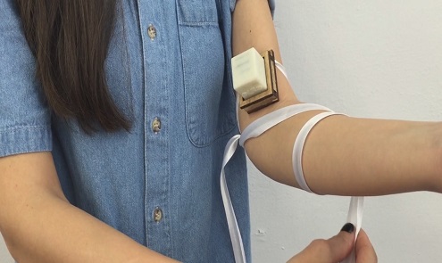 (צילום:תות שגיא)