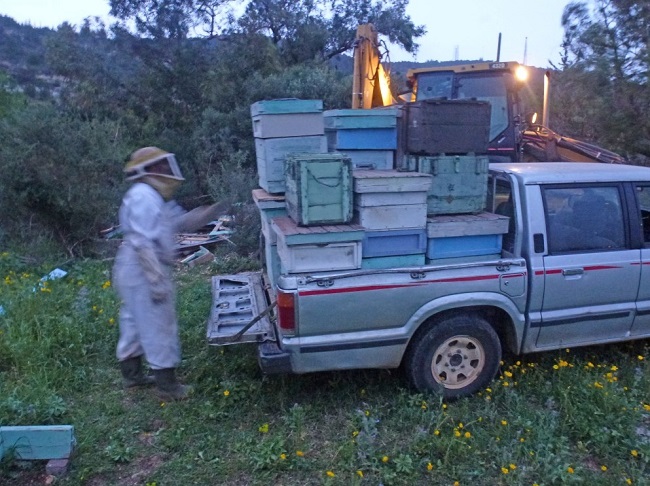 (צילום:רשות מקרקעי ישראל)
