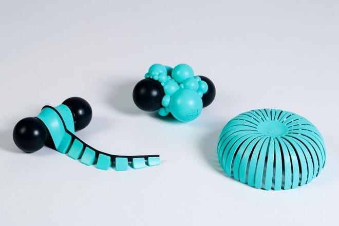 כהן מאיה - Snap(צילום:אחיקם בן יוסף)