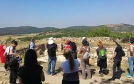 מוזיאון מטייל: מוזיאון ארצות המקרא יערוך סיורים בשפלת יהודה צילום: יח