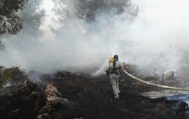 דו קיום תחת אש: ישראלים ופלסטינים כיבו שריפה בהתנחלות בית אריה שריפה בהתנחלות בית אריה. צילום: מחלקת ביטחון המועצה המקומית בית אריה