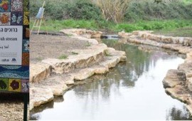 בין כפר תבור לכדורי: סיפור הצלחה חוצה הקהילות של נחל השבעה המשוקם