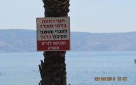 סופי: חוף עין גב בכנרת יחזור לציבור ויוסרו הגדרות והחסימות צילום: אלי גבאי