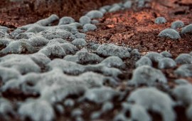 תערוכת יחיד של ריקי מנור: "מעברים" - פיסול בחומר תערוכת יחיד של ריקי מנור: