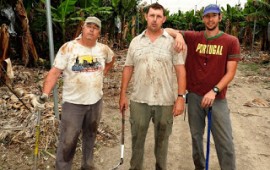 החום לא מכופף את צוות ענף הבננות בעין גב ירדן לזר, ריצ'רד היגינס ופיטר סטרומר- מענף הבננות בקיבוץ עין גב. צילום - אריאל צור