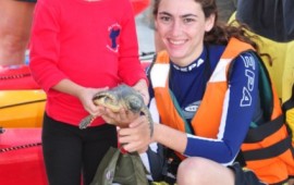 צבי הים שמשון, ליאור וזורי שוחררו חזרה לטבע shihrurzav