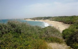 חוף פלמחים: עונת הרחצה נפתחת בחוף שניצל