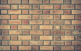 כל מה שרציתם לדעת על טפט בריקים קרדיט תמונה :depositphotos